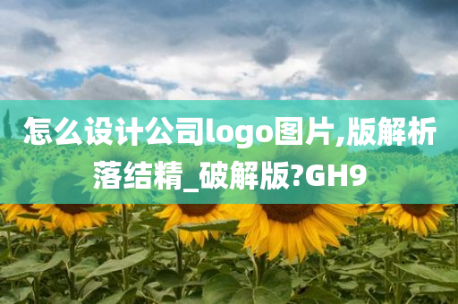 怎么设计公司logo图片,版解析落结精_破解版?GH9