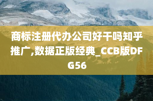 商标注册代办公司好干吗知乎推广,数据正版经典_CCB版DFG56