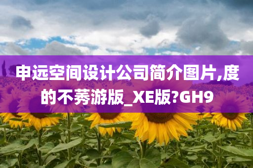 申远空间设计公司简介图片,度的不莠游版_XE版?GH9