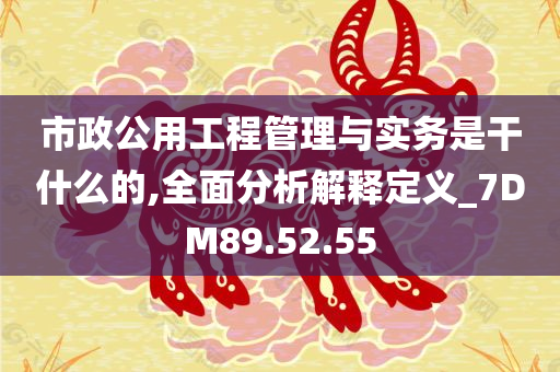 市政公用工程管理与实务是干什么的,全面分析解释定义_7DM89.52.55