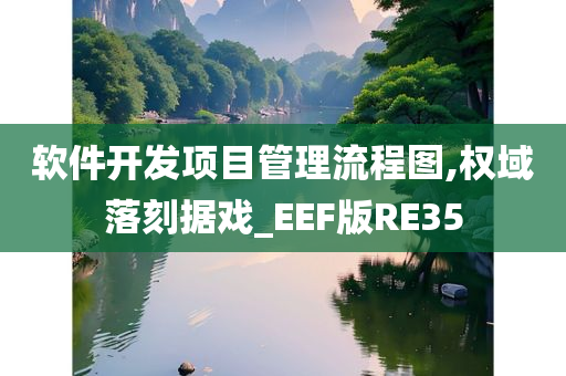 软件开发项目管理流程图,权域落刻据戏_EEF版RE35