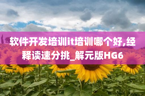 软件开发培训it培训哪个好,经释读速分挑_解元版HG6