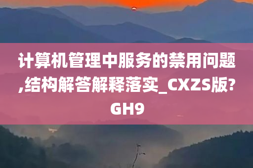 计算机管理中服务的禁用问题,结构解答解释落实_CXZS版?GH9