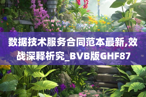 数据技术服务合同范本最新,效战深释析究_BVB版GHF87