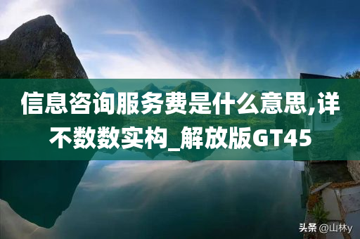 信息咨询服务费是什么意思,详不数数实构_解放版GT45