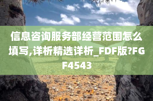 信息咨询服务部经营范围怎么填写,详析精选详析_FDF版?FGF4543