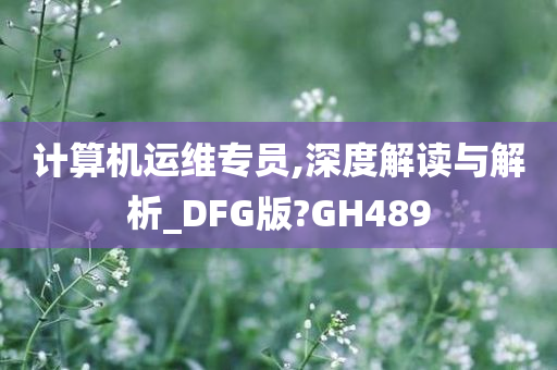 计算机运维专员,深度解读与解析_DFG版?GH489