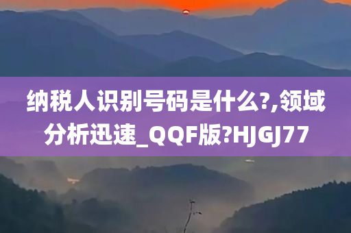 纳税人识别号码是什么?,领域分析迅速_QQF版?HJGJ77