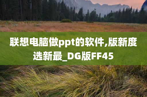 最新版DG版FF45