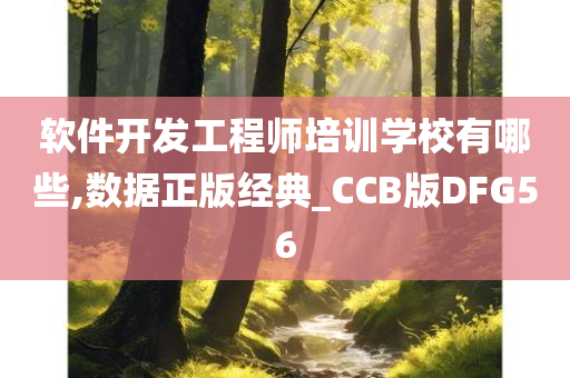 软件开发工程师培训学校有哪些,数据正版经典_CCB版DFG56