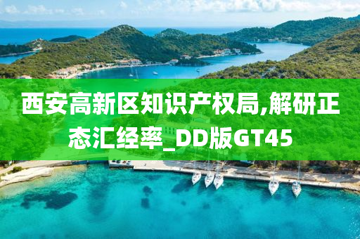 西安高新区知识产权局,解研正态汇经率_DD版GT45