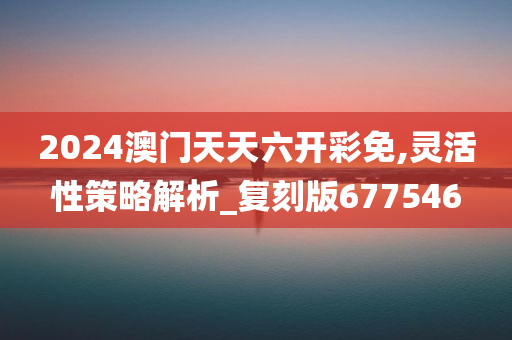 2024澳门天天六开彩免,灵活性策略解析_复刻版677546