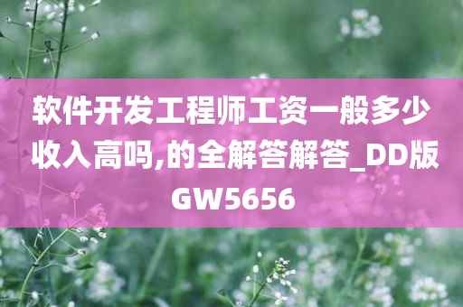 软件开发工程师工资一般多少 收入高吗,的全解答解答_DD版GW5656