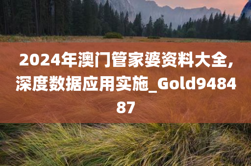 2024年澳门管家婆资料大全,深度数据应用实施_Gold948487