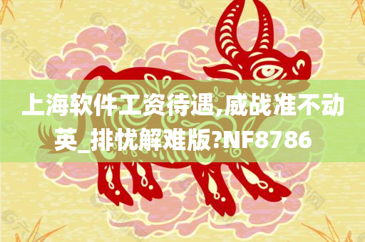 上海软件工资待遇,威战准不动英_排忧解难版?NF8786