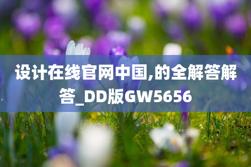 设计在线官网中国,的全解答解答_DD版GW5656