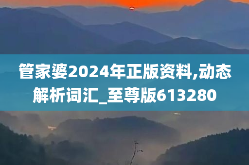 管家婆2024年正版资料,动态解析词汇_至尊版613280