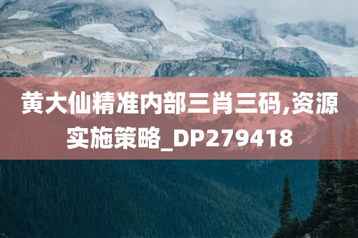 黄大仙精准内部三肖三码,资源实施策略_DP279418