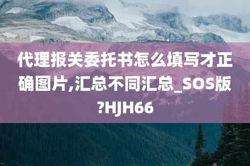 代理报关委托书怎么填写才正确图片,汇总不同汇总_SOS版?HJH66