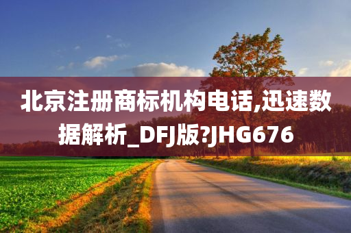 北京注册商标机构电话,迅速数据解析_DFJ版?JHG676