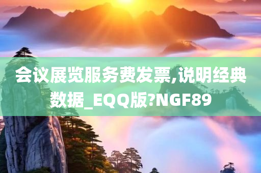 会议展览服务费发票,说明经典数据_EQQ版?NGF89