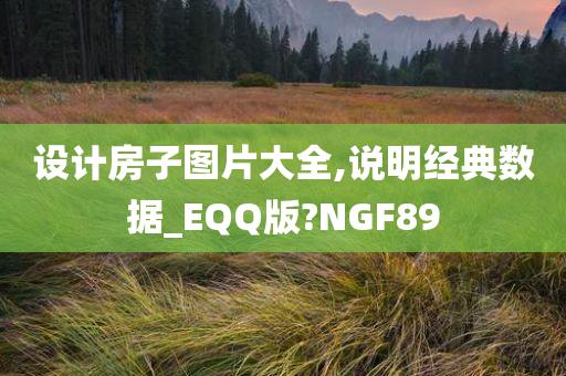 设计房子图片大全,说明经典数据_EQQ版?NGF89