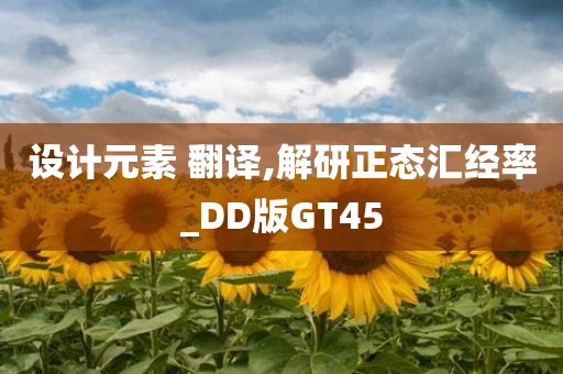 设计元素 翻译,解研正态汇经率_DD版GT45