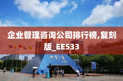 企业管理咨询公司排行榜,复刻版_EE533