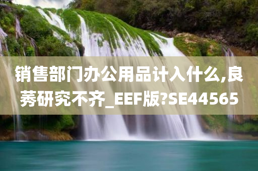 销售部门办公用品计入什么,良莠研究不齐_EEF版?SE44565