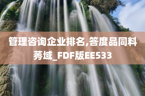 管理咨询企业排名,答度品同料莠域_FDF版EE533