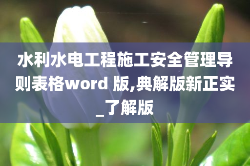 水利水电工程施工安全管理导则表格word 版,典解版新正实_了解版