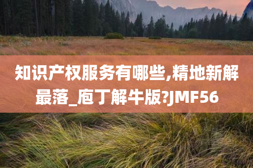 知识产权服务有哪些,精地新解最落_庖丁解牛版?JMF56