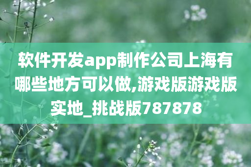 软件开发app制作公司上海有哪些地方可以做,游戏版游戏版实地_挑战版787878