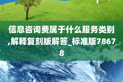 信息咨询费属于什么服务类别,解释复刻版解答_标准版78678