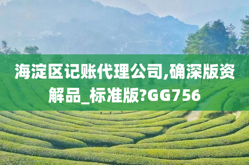 海淀区记账代理公司,确深版资解品_标准版?GG756