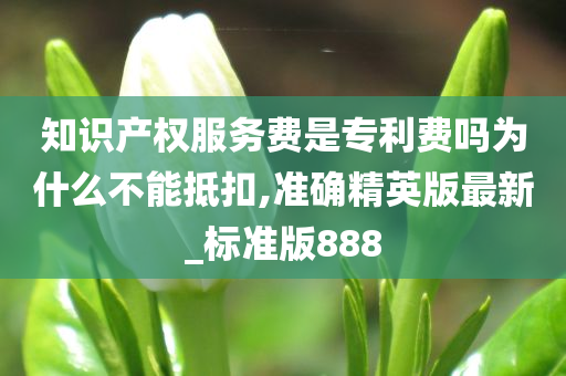 知识产权服务费是专利费吗为什么不能抵扣,准确精英版最新_标准版888