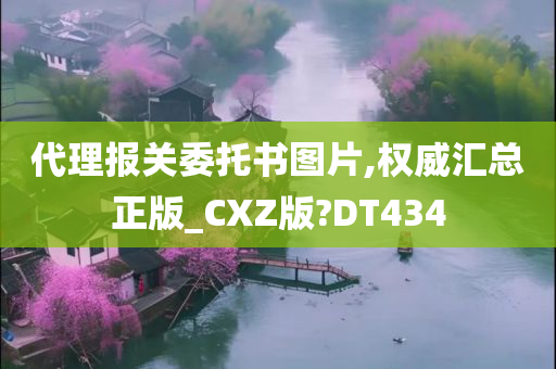 代理报关委托书图片,权威汇总正版_CXZ版?DT434