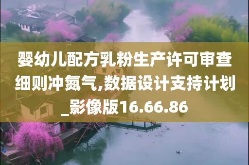 婴幼儿配方乳粉生产许可审查细则冲氮气,数据设计支持计划_影像版16.66.86