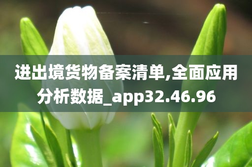 进出境货物备案清单,全面应用分析数据_app32.46.96