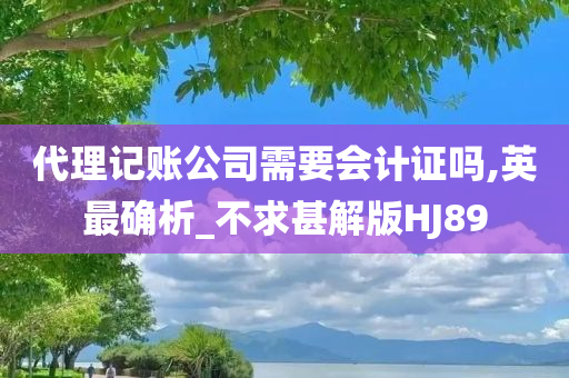 代理记账公司需要会计证吗,英最确析_不求甚解版HJ89