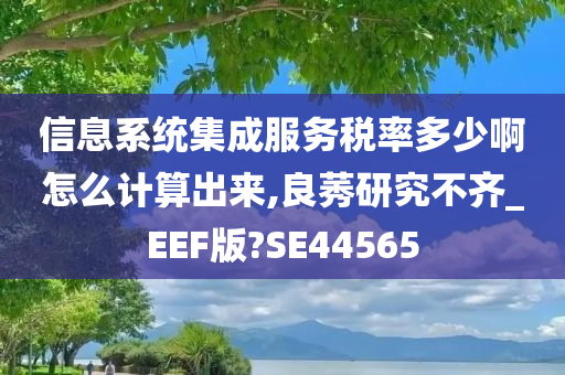 信息系统集成服务税率多少啊怎么计算出来,良莠研究不齐_EEF版?SE44565