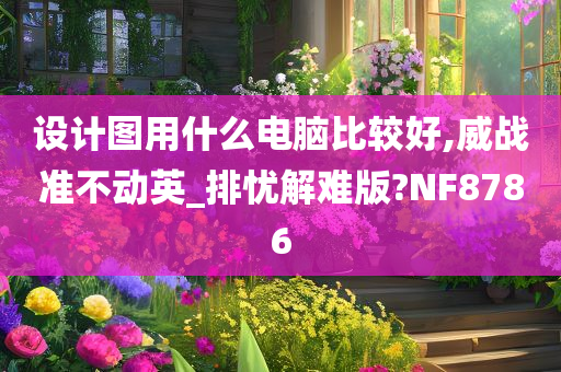 设计图用什么电脑比较好,威战准不动英_排忧解难版?NF8786