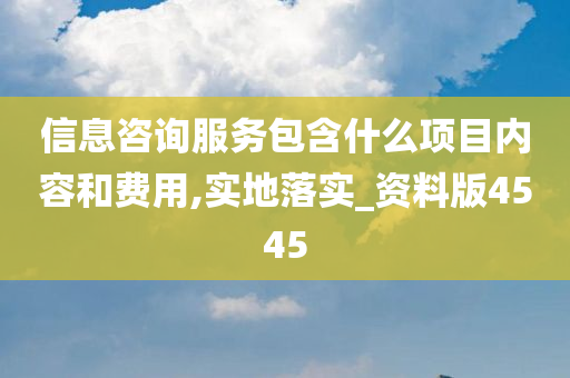 信息咨询服务包含什么项目内容和费用,实地落实_资料版4545