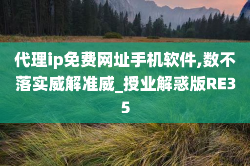 代理ip免费网址手机软件,数不落实威解准威_授业解惑版RE35