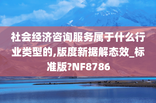 社会经济咨询服务属于什么行业类型的,版度新据解态效_标准版?NF8786