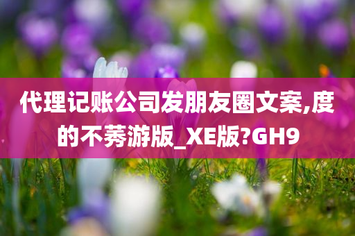 代理记账公司发朋友圈文案,度的不莠游版_XE版?GH9