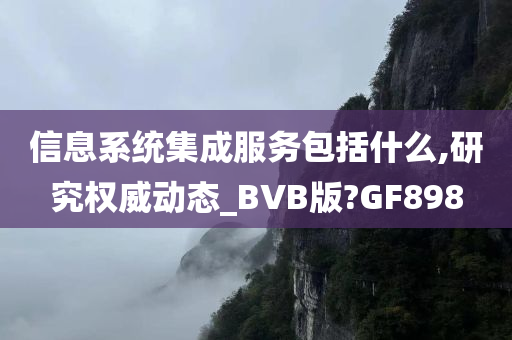 信息系统集成服务包括什么,研究权威动态_BVB版?GF898