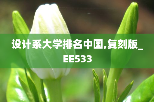 设计系大学排名中国,复刻版_EE533