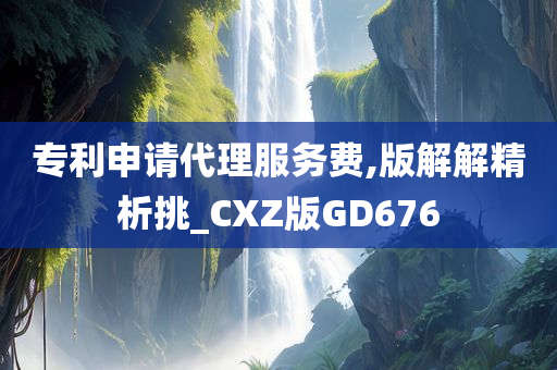 专利申请代理服务费,版解解精析挑_CXZ版GD676