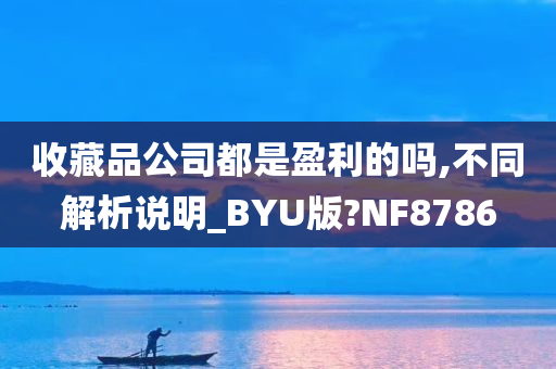 收藏品公司都是盈利的吗,不同解析说明_BYU版?NF8786